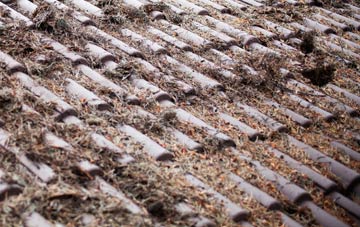 Lower Breakish roof cleaning companies